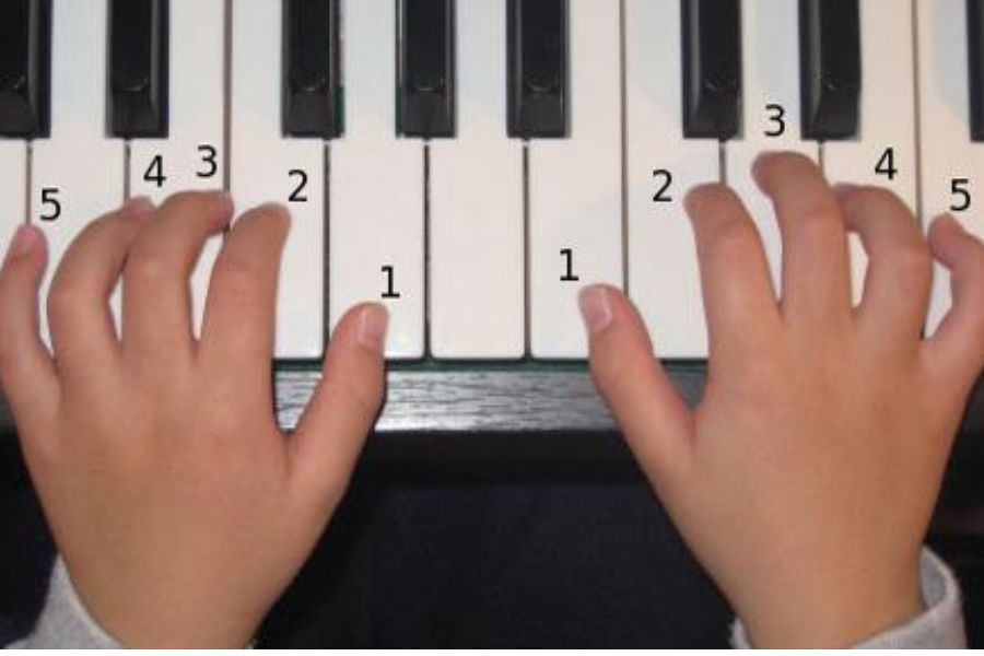 7 Bước Học Đàn Piano Cho Người Mới Bắt Đầu Đơn Giản Nhất